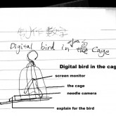 one digital bird in the cage